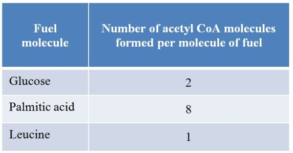 Refer to the table summarizing data regarding a common metabolic intermediate produced when three different fuel molecules are catabolized.   The data suggest that _______ are much better sources of energy than either _______ or _______. A)  amino acids; carbohydrates; lipids B)  carbohydrates; lipids; amino acids C)  lipids; amino acids; carbohydrates D)  nucleic acids; carbohydrates; amino acids E)  lipids; carbohydrates; nucleic acids