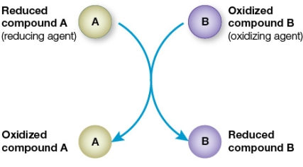 Refer to the figure below.   Of the two compounds that react as shown in the figure, compound _______ has the greater chemical energy.