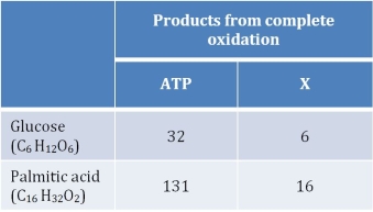 Refer to the table showing the products from the complete oxidation of glucose and the complete oxidation of palmitic acid (a fatty acid).   The label  X  should be replaced with _______.
