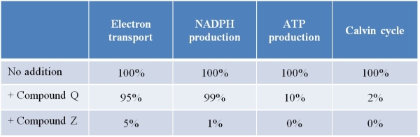 Refer to the table below showing data collected from chloroplasts isolated from spinach leaves.The chloroplasts were incubated with either compound Q or Z, or with no additions in the control.After 30 minutes of incubation, chloroplasts were analyzed for the photosynthetic functions shown in the table.   Assume that compounds Q and Z directly affect components involved in the light reactions.What do these data indicate about the relationship between the light reactions and the light-independent reactions? A)  The light-independent reactions can occur even if the light reactions are inhibited by chemical agents. B)  If a subset of the light reactions is functional, that is sufficient for the light-independent reactions to also be functional. C)  At least one of the products of the light reactions is essential in enabling the light-independent reactions to run. D)  Chemical agents can reverse the sequence of the light reactions and the light-independent reactions. E)  Light reactions and light-independent reactions can be induced to reverse their dependency on light by the actions of chemical agents.