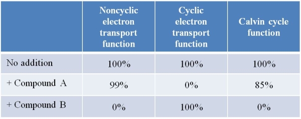 Refer to the table below summarizing data from an experiment conducted using chloroplasts isolated from spinach leaves.The chloroplasts were incubated with either no compound (control)  or with compound A or B for 1 hour.Chloroplasts were then tested for the three functions listed at the top of the table.   What do these data suggest about the role of NADPH in photosynthesis and why? A)  NADPH is required for photosynthesis because Calvin cycle function is blocked when noncyclic electron transport is inhibited. B)  NADPH is required for photosynthesis because Calvin cycle function is not blocked when cyclic electron transport is inhibited. C)  NADPH is required for photosynthesis because cyclic electron transport can function independently of noncyclic electron transport. D)  NADPH is not required for photosynthesis because cyclic electron transport can function even when noncyclic electron transport is inhibited. E)  NADPH is not required for photosynthesis because different chemical agents can inhibit cyclic and noncyclic electron transport separately.