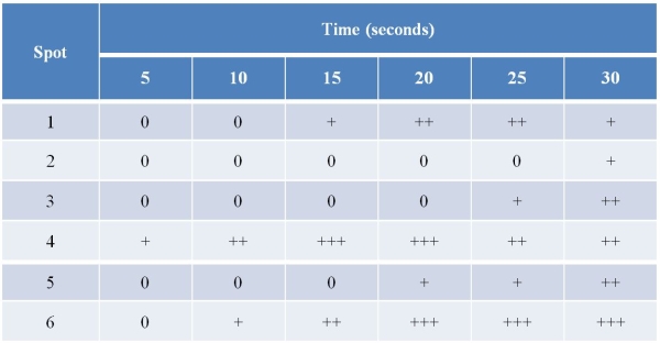 Refer to the table below, which contains data collected using the same techniques that Calvin and his colleagues used to determine the pathway of carbon atoms during photosynthesis.In this experiment, the starting material was a synthesized compound that contained carbon-14.This <sup>14</sup>C-labeled compound was supplied to a living culture of algae at time zero.Then, at 5-second intervals, samples of the culture were harvested and extracted.The extracts were subjected to two-dimensional chromatography, and the resulting spots were numbered and measured for radioactivity.A  0  indicates negligible radioactivity, while a  +  indicates measurable radioactivity; the greater the number of  +  symbols, the greater the radioactivity detected.   Based on these results, what is the sequence of compounds in the metabolic pathway? A)  3 <font face= symbol ></font> 5 <font face= symbol ></font> 2 <font face= symbol ></font> 4 <font face= symbol ></font> 1 <font face= symbol ></font> 6 B)  4 <font face= symbol ></font> 6 <font face= symbol ></font> 1 <font face= symbol ></font> 5 <font face= symbol ></font> 3 <font face= symbol ></font> 2 C)  1 <font face= symbol ></font> 4 <font face= symbol ></font> 6 <font face= symbol ></font> 3 <font face= symbol ></font> 5 <font face= symbol ></font> 2 D)  2 <font face= symbol ></font> 3 <font face= symbol ></font> 5 <font face= symbol ></font> 1 <font face= symbol ></font> 6 <font face= symbol ></font> 4 E)  4 <font face= symbol ></font> 1 <font face= symbol ></font> 5 <font face= symbol ></font> 2 <font face= symbol ></font> 6 <font face= symbol ></font> 3