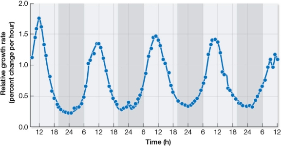 At hourly intervals, researchers measured the change in growth rate of a cactus, a CAM plant, over a 5-day period.The results were used to prepare the graph below.The shaded areas denote dark periods, while white areas denote daylight periods.   Which statement reasonably explains the pattern in the growth rate revealed in this graph? Remember to apply what you know about CAM plants and cells in general as you consider the various statement options. A)  CAM plant growth occurs when the plant is actively taking up carbon in the form of carbon dioxide from the atmosphere. B)  CAM plant growth occurs at times when the plant is not busy engaged in photosynthetic processes. C)  CAM plant growth occurs when Calvin cycle enzymes are actively producing G3P, since this compound can be immediately shuttled into anabolic pathways that support cell proliferation. D)  CAM plant growth occurs in cycles, since each round of cell division can only occur once every 24 hours because of a long period of DNA replication. E)  CAM plant growth occurs in cycles because light stimulates cell division and dark inhibits cell division.