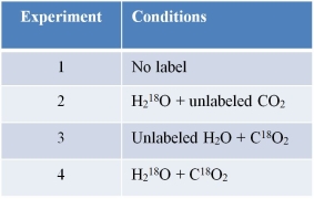 Refer to the table below, which summarizes conditions used in four experiments in which isotopes were used to trace the fate of oxygen atoms during photosynthesis by a terrestrial green plant species.   Which set of experiments would provide the best data for determining the source of O<sub>2</sub> produced by the plants? A)  Experiments 1 and 2 B)  Experiments 2 and 3 C)  Experiments 1 and 3 D)  Experiments 1 and 4 E)  Experiments 3 and 4