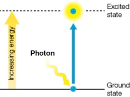 Refer to the figure below.   The figure illustrates how a photon of light interacts with chlorophyll in a green plant.A(n) _______ moves from a low energy level to a higher energy level to produce this excited-state chlorophyll molecule.
