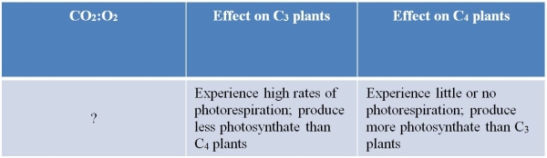 Refer to the table below.   An entry in this table comparing C<sub>3</sub> and C<sub>4</sub> plants is missing, as shown by the question mark.The best word to fill in this location on the table is _______.