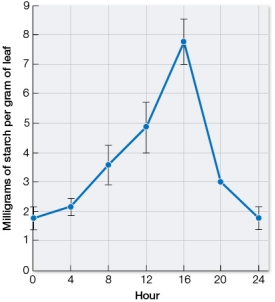 Mustard plants were grown under 16 hours (hour 0 to 16)  of light followed by 8 hours (hour 16 to 24)  of dark for several weeks.Leaves were then excised at different times during a single 24-hour cycle and measured for mass before starch content was determined.The graph below summarizes the results of these analyses, showing starch content expressed as starch mass per leaf mass.   These data provide evidence to directly support which statement about starch that is formed as the result of photosynthesis in plants? A)  Starch is a polymer of glucose and in plants serves as a storage form of carbohydrates generated during photosynthesis. B)  Starch is stored within chloroplasts in the form of granules, which can be observed using microscopy techniques. C)  Starch stored within a plant's leaves provides a source of chemical energy for the plant at night when its light reactions do not occur. D)  Starch and sucrose are formed from glyceraldehyde 3-phosphate, each of which requires three molecules of carbon dioxide to be fixed by rubisco. E)  Starch is stored in roots, seeds, and fruits of a plant in addition to its storage in a plant's leaves.