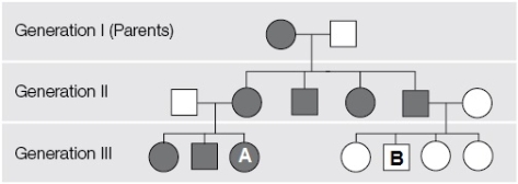 Refer to the figure showing a pedigree.   What is the most likely mode of genetic transmission?