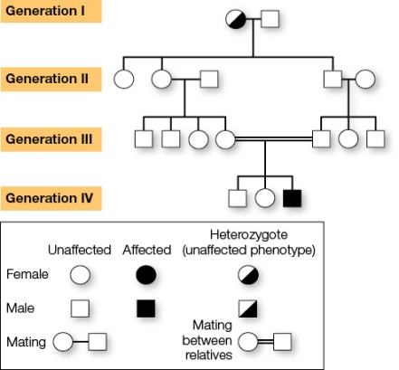 Refer to the figure showing a family pedigree and recessive inheritance.Note the mother in generation I is a carrier of a rare recessive autosomal trait.   What is the probability that a member of generation III will be a carrier of this trait? A)  0.1 B)  0.25 C)  0.5 D)  0.75 E)  1