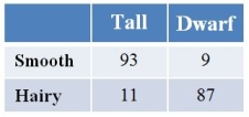 In tomatoes, tall is dominant to dwarf, and smooth fruits are dominant to hairy fruits.A plant homozygous for both dominant traits is crossed with a plant homozygous for both recessive traits.The F<sub>1</sub> progeny are crossed with a homozygous recessive, with the results shown in the table.   These data indicate that the genes are A)  on different chromosomes. B)  linked and show 5 percent recombination. C)  linked and show 10 percent recombination. D)  linked and show 20 percent recombination. E)  linked and show 40 percent recombination.