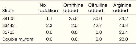 The table shows the biochemical pathway of arginine production and growth of Neurospora under various conditions.     Wild-type Neurospora was treated with X-rays to induce heritable mutations.Treated Neurospora was grown on minimal medium ( no addition  in the table)  and minimal medium supplemented with the compounds indicated in the table.Growth is indicated as dry weight of fungal material after 5 days.Here we see the results of three mutated strains that were linked to the metabolic pathway that generates arginine.Without arginine production, Neurospora cannot grow. Considering the biochemical pathway of arginine production, which strain harbors a mutation in the enzyme that converts ornithine to citrulline? A)  34105 B)  33442 C)  36703 D)  Double mutant E)  Cannot be determined.