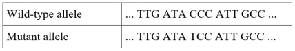 Refer to the table.   Alkaptonuria is an inborn error of metabolism, caused by defects in an enzyme in the pathway that breaks down tyrosine (see Section 14.1) .Humans who are homozygous for one of these mutations make nonfunctional enzyme and accumulate the enzyme's substrate, homogentisic acid, which causes their disease symptoms.In 1996, researchers in Spain cloned and sequenced the gene for the enzyme and characterized several mutant alleles.The table shows the wild-type coding strand sequence for part of the gene and the corresponding region from one of the mutant alleles.What type of mutation is this? A)  Silent B)  Nonsense C)  Frame-shift D)  Missense E)  Reversion