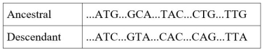 A bacterial cell has been exposed to a powerful mutagen.The chromosomal sequences of the ancestral cell and the descendant cell are shown.(The ellipses represent intervening sequences that are identical.)    Based on this information, there have been _______ transitions and _______ transversions. A)  0; 5 B)  2; 3 C)  2; 5 D)  3; 2 E)  3; 3