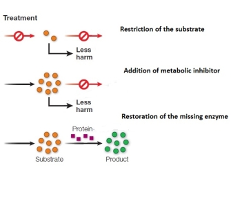 Refer to the figure.   A child is born with a metabolic disorder in which there is a failure to produce an essential protein in brain development.This phenotype is the result of a single nonfunctional enzyme.The substrate for this enzyme does not build up in the brain, as it is essential for other metabolic pathways.Which is the best treatment strategy for this genetic disease? A)  Restriction of the substrate B)  Addition of a metabolic inhibitor C)  Restoration of the missing enzyme D)  Restriction of the substrate and addition of a metabolic inhibitor E)  Restoration of the missing enzyme and restriction of the substrate