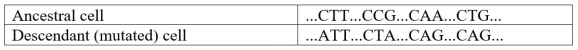 Refer to the table.   A bacterial cell has been exposed to a powerful mutagen.In the table shown, a sequence from this cell is compared with the same sequence from its ancestral cell.Intervening sequences where the ancestral and descendant cells have identical sequences are represented by dots.In the mutated cell there have been ________ transition(s)  and _______ transversion(s) . A)  zero; four B)  one; three C)  two; two D)  three; one E)  three; two