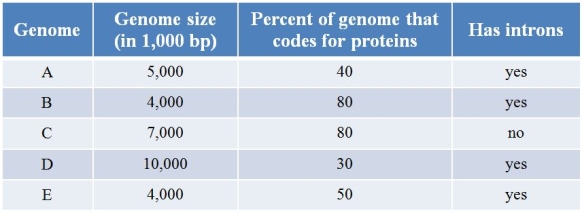 Refer to the table showing the properties of five different genomes.   Which genome is most likely prokaryotic? A)  Genome A B)  Genome B C)  Genome C D)  Genome D E)  Genome E