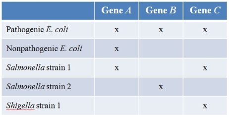 Refer to the hypothetical data set comparing the gene content of Salmonella and Shigella, of which all strains are pathogenic, and the pathogenic and nonpathogenic strains of E.coli.(Note:  x  denotes presence of the gene.)    Which is the most likely conclusion about gene B? A)  It may be involved in pathogenicity and was acquired from Salmonella strain 1. B)  It may be involved in pathogenicity and was acquired from Salmonella strain 2. C)  It may be involved in pathogenicity and was acquired from Shigella. D)  It may be involved in pathogenicity, and its origin is unclear. E)  It is unlikely to be involved in pathogenicity.