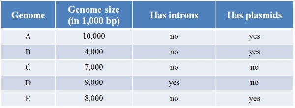 Refer to the table showing the properties of five different genomes.   Which genome is most likely eukaryotic? A)  Genome A B)  Genome B C)  Genome C D)  Genome D E)  Genome E