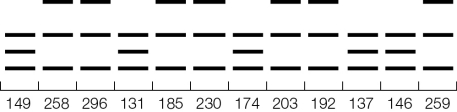 Like SNPs, differences in patterns of genes when they are cut with restriction enzymes can be used to examine associations between genetic differences and traits (including disease risk).Refer to the diagram showing the DNA profiles at a hypothetical locus in a family in which some individuals develop high cholesterol.Immediately below the genetic patterns are the cholesterol levels of the corresponding individuals.(Note: Readings above 200 are generally considered borderline high cholesterol, and those above 240 are considered high cholesterol.) What inferences can we draw from these results?  