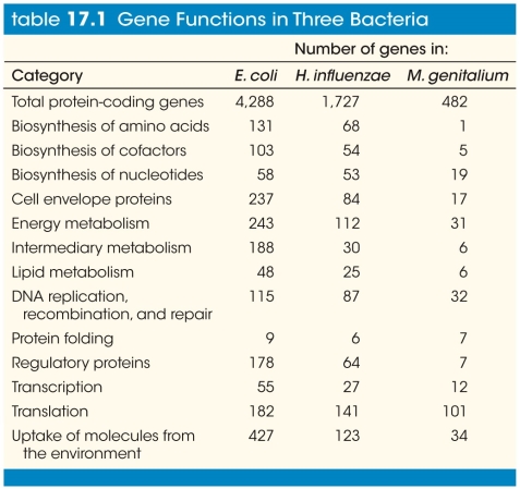 Refer to the table showing the number of genes in three bacteria (E.coli, Haemophilus influenzae, and Mycoplasma genitalium)  for different functions.   For which class of genes does M.genitalium devote a larger percentage of its genome than the other two bacteria do? A)  Biosynthesis of amino acids B)  Biosynthesis of cofactors C)  Cell envelope proteins D)  Uptake of molecules from the environment E)  Translation