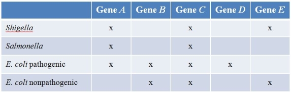 Refer to the table.Pathogenic strains of E.coli often exchange genes with other pathogenic bacteria such as Salmonella and Shigella.(Note:  x  denotes presence of the gene.)    Which gene most likely got into pathogenic E.coli from the other pathogenic bacteria? A)  Gene A B)  Gene B C)  Gene C D)  Gene D E)  Gene E