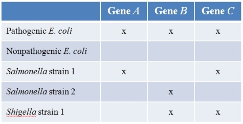 Refer to the table showing a hypothetical data set comparing the gene content of strains of Salmonella and Shigella (which are all pathogenic)  and pathogenic and nonpathogenic strains of E.coli.(Note:  x  denotes presence of the gene.)    What is the most likely conclusion about gene A? A)  It may be involved in pathogenicity and was acquired from Salmonella strain 1. B)  It may be involved in pathogenicity and was acquired from Salmonella strain 2. C)  It may be involved in pathogenicity and was acquired from Shigella. D)  It may be involved in pathogenicity, and its origin is unclear. E)  It is unlikely to be involved in pathogenicity.