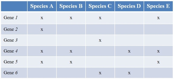 Five prokaryote species (labeled A-E)  have been sequenced.Below are the findings of the genes they contain.(Note:  x  denotes the species possessing a functional copy of the gene.)  Gene 1 is essential for the synthesis of several amino acids.Gene 2 encodes a protein involved in strengthening the cell wall.Gene 3 produces an enzyme that breaks down methane.The functions of the other three genes are currently unknown.   Which of these genes is/are likely to be included in the minimal genome? A)  Only genes 1 and 4 B)  Only gene 2 C)  Only gene 5 D)  All of these genes E)  None of these genes