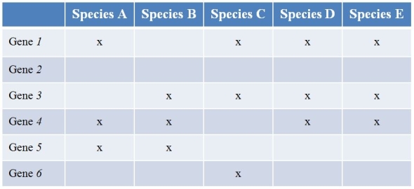Five prokaryote species (labeled A-E) have been sequenced.Refer to the table with the findings of the genes they contain.(Note:  x  denotes the species possessing a functional copy of the gene.) Gene 1 is essential for the synthesis of several amino acids.Gene 2 encodes a protein involved in strengthening the cell wall.Gene 3 appears to encode an enzyme, but its function is unknown.   One way to obtain clues about the function of gene 3 would be to see what substances species _______ cannot grow on, in contrast with the other species.