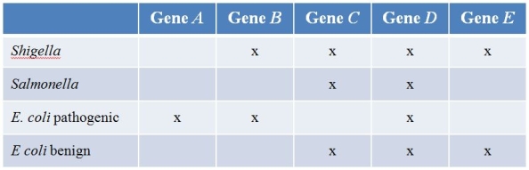 Pathogenic strains of E.coli often exchange genes with other pathogenic bacteria such as Salmonella and Shigella.Refer to the table showing which bacteria contain various genes.(Note:  x  denotes presence of the gene.)    Which gene most likely got into pathogenic E.coli from the other pathogenic bacteria? A)  Gene A B)  Gene B C)  Gene C D)  Gene D E)  Gene E