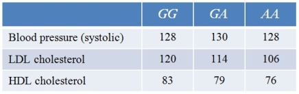 Refer to the table showing the genotypes of a SNP and the average systolic blood pressure and LDL and HDL cholesterol levels associated with those genotypes.   High LDL cholesterol levels and low HDL levels are generally associated with increased cardiovascular disease risk.Which statement is most likely to be true? A)  AA individuals are at higher risk of cardiovascular disease due to increased blood pressure. B)  GG individuals are at higher risk of cardiovascular disease due to increased blood pressure. C)  AA individuals are at higher risk of cardiovascular disease due to their LDL levels. D)  GG individuals are at higher risk of cardiovascular disease due to their LDL levels. E)  GG individuals are at higher risk of cardiovascular disease due to their HDL levels.