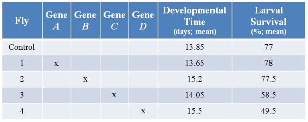 Refer to the table showing results from an experiment in which researchers used CRISPR technology to knock out various genes from a fly.They then examined the developmental time (in days, with calculated means) and larval survival (percent, with calculated means) for each treatment.(Note: The  x  marks genes that have been knocked out.)   Which gene(s) affect(s) developmental time? Explain your answer.