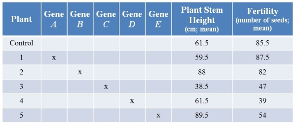 Refer to the table showing results from an experiment in which researchers used CRISPR technology to knock out various genes from a plant.They then examined plant stem height (in centimeters, with calculated means) and seed production (number of seeds, with calculated means) with each treatment.(Note: The  x  marks genes that have been knocked out.)   Some researchers have suggested that trade-offs exist between plant stem height and seed production-if too many resources are used in growing stems, seed production may suffer.What evidence in the table is contrary to this hypothesis?