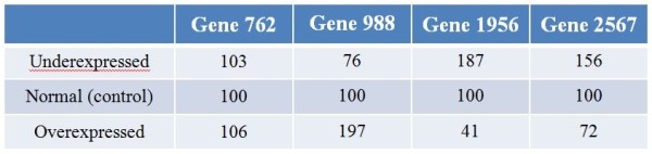Biologists examining the plant gene LEAFY's effect on expression patterns of genes overexpressed and underexpressed LEAFY.They then performed microarray analysis to examine the effects of changes of LEAFY expression on the expression of other genes in the genome.Refer to the table showing the results for four different genes with LEAFY underexpressed and overexpressed and the control.The expression levels are normalized such that they are 100 for each gene in control conditions.   Which two genes have the most similar patterns of expression? A)  Genes 762 and 988 B)  Genes 762 and 1956 C)  Genes 762 and 2567 D)  Genes 988 and 1956 E)  Genes 1956 and 2567