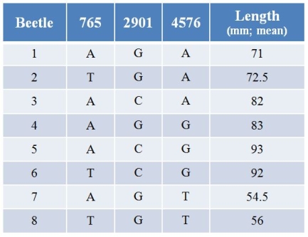 Refer to the table.A gene might affect the length of bristles of a beetle.Using CRISPR technology, biologists have altered the sequence of this gene at three different nucleotides (765, 2901, and 4576) and have measured the length of bristles (in millimeters, with calculated means).In nature, most beetles have A at position 765, G at position 2901, and A at position 4576 (see beetle 1).   Changing A to G at position 4576 will likely _______ the length of bristles.