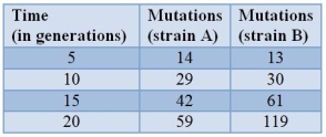 Yeast cells are sequenced periodically to examine them for new mutations.The table shows the results.   What is the approximate mutation rate per generation for strain A? A)  3 B)  6 C)  14 D)  43 E)  59