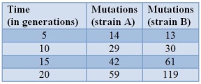 Yeast cells are sequenced periodically to examine them for new mutations.The table shows the results.   Assuming the mutation rate remains the same and mutations accumulate linearly, about how many mutations should there be in strain A after 50 generations? A)  50 B)  150 C)  300 D)  590 E)  700