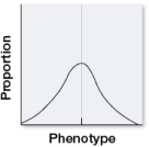 The graph shows the range of variation among population members for a trait determined by multiple genes.   If this population were subject to stabilizing selection for several generations, which, if any, of the distributions shown would be most likely to result?   A)  a B)  b C)  c D)  d E)  None of the above; there would be no change.