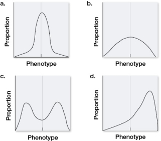 The graph shows the range of variation among population members for a trait determined by multiple genes.   If this population were subject to stabilizing selection for several generations, which, if any, of the distributions shown would be most likely to result?   A)  a B)  b C)  c D)  d E)  None of the above; there would be no change.