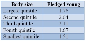 The numbers of fledged young from female robins of different sizes were assayed and are presented in the table.   Assume that body size is at least partially heritable.Assuming that all other fitness aspects (survival, etc.) are independent of size, this population is most likely experiencing _______ selection.