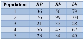 The table shows the number of offspring produced by individuals of three genotypes at the B locus in five different populations.   Assuming survival rates and all other factors are equal across genotypes, in which population would you most likely expect variation at the B locus to be maintained? A)  Population 1 B)  Population 2 C)  Population 3 D)  Population 4 E)  Population 5