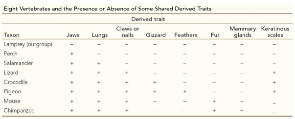 Refer to the table.   The table shows the presence or absence of some derived traits in eight species of vertebrates.If you wanted to classify all of the recent animals that have jaws, lungs, and either claws or nails, which animal would you use as the nearest related outgroup? Why?