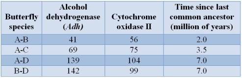 Refer to the table.   The table which shows the divergence times (time since last common ancestor) between different species of butterflies and the numbers of changes that have occurred at two different genes.Explain how the data show that the gene for cytochrome oxidase is not evolving in accordance with the molecular clock principle.