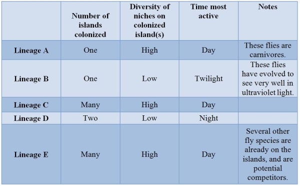 Refer to the table.   The table shows five lineages of flies and provides some information on the areas that they have colonized and other notes on their biology.In which lineage would you expect an adaptive radiation to be most likely? A)  Lineage A B)  Lineage B C)  Lineage C D)  Lineage D E)  Lineage E