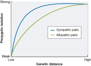 Refer to the table showing the relationship between prezygotic reproductive isolation and genetic distance for both allopatric and sympatric pairs.   Drosophila species that have been crossed with each other allow evolutionary biologists to make general inferences about their evolution.Species pairs that are sympatric accumulate more prezygotic reproductive isolation at a faster rate than those that are allopatric.There is no such effect on postzygotic reproductive isolation: sympatric and allopatric pairs accumulate postzygotic isolation at the same rate.What is the likely explanation for the patterns observed? A)  Polyploidy B)  Reinforcement C)  Adaptive radiation D)  Chromosomal fusions E)  Mimicry