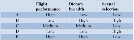 Refer to the table.   Furnariids are a group of birds consisting of over 290 species found in the neotropics.Researchers constructed the phylogeny (evolutionary tree)  for this group and identified five lineages (A to E) .They also collected data on the flight performance (high being the strongest fliers) , dietary breath (high having the widest diet) , and sexual selection (high having the most intense sexual selection) .Based on the data, which lineage should have the highest speciation rate? A)  Lineage A B)  Lineage B C)  Lineage C D)  Lineage D E)  Lineage E
