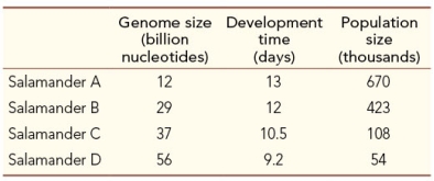 Refer to the table, which shows the genome sizes, development times, and population sizes of four species of salamanders.   These salamander data are consistent with A)  development rate hypothesis for genome size. B)  genome size being due to lateral gene transfer. C)  noncoding DNA being slightly advantageous. D)  noncoding DNA being slightly deleterious. E)  noncoding DNA having a regulatory effect.