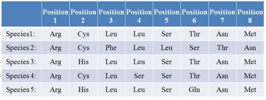 The table shows the amino acid sequences for an eight-residue section of a small protein for five different species (1-5).   Which species differs from species 1 because of an amino acid insertion?