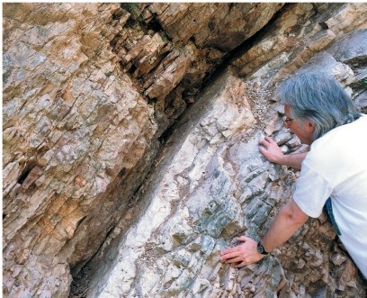 Refer to the figure depicting a layer of Iridium at the Cretaceous-Tertiary (K/T) boundary between strata from two different periods in Earth's history.   Explain the significance of the globally distributed iridium layer found in strata with an age of approximately 65.5 million years.Explain which kinds of species went extinct at this time, and why (be as specific as possible).