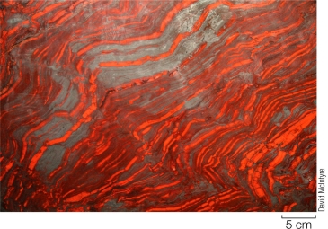 Refer to the figure.   The bands of sediment shown contain iron oxide in sediments dated to an age of 2.25 billion years.Explain the significance of this with respect to the evolution of life on Earth.
