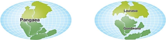 Refer to the figure, which shows the position of the continent(s) during two eras in geologic history.   Describe the flora and fauna associated with the geologic eras shown in the figure.